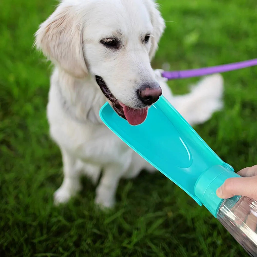 Puppy Bottle